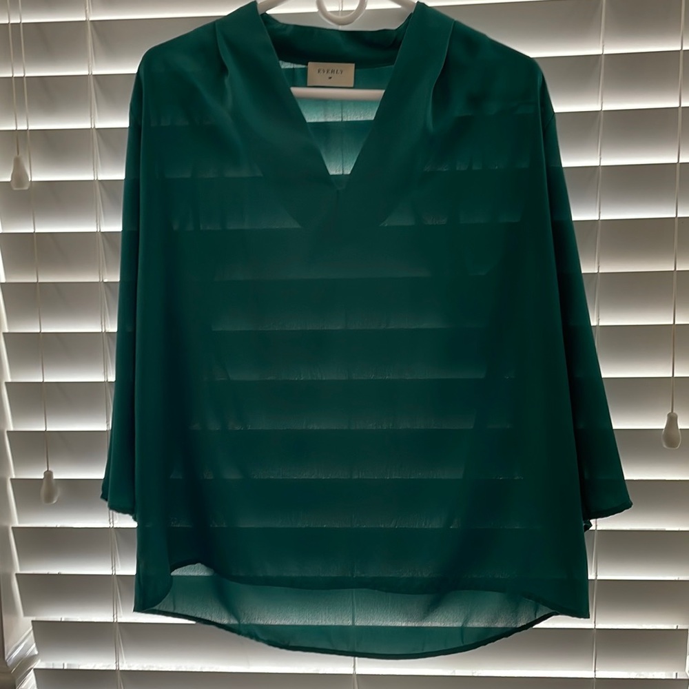 Long Sleeve Sheer Top